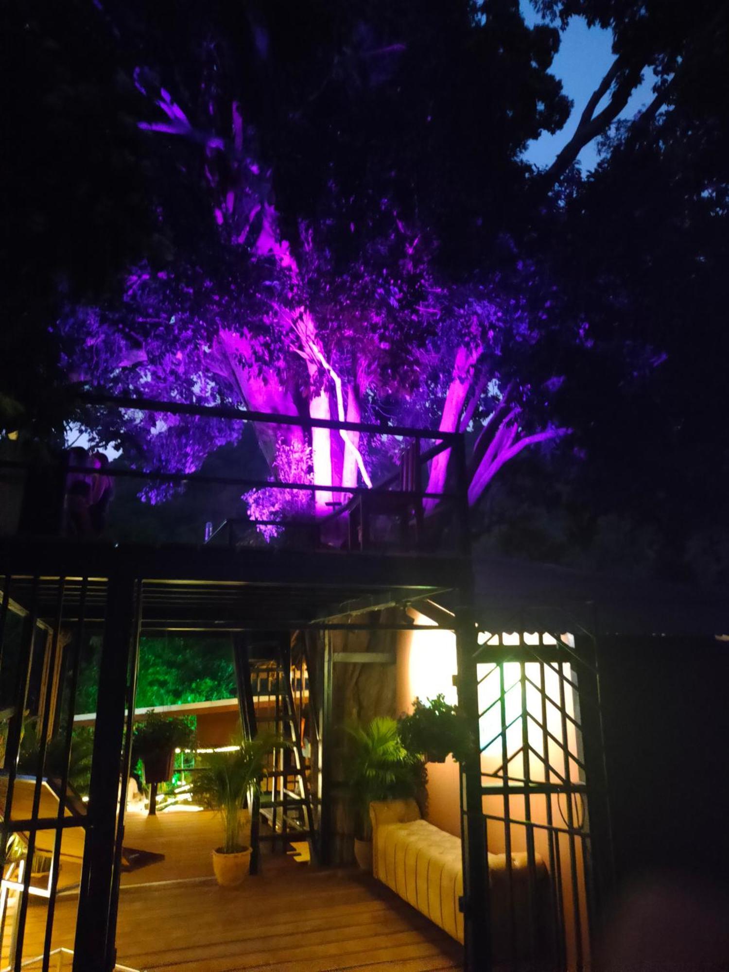 Phuket Jungle Experience Resort Karon Dış mekan fotoğraf